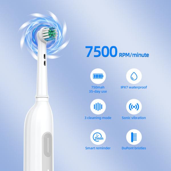 Medium Bristle Electric Round Head Toothbrush Sonic Spin Toothbrush USB Charging
