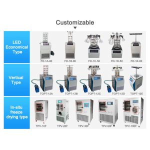 SGS Home Freeze Dryer Laboratory Small Lyophilizer Machine