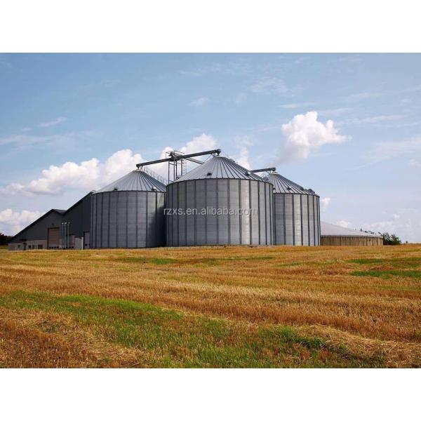 2500 tons Advanced STR STGF25 Galvanized Steel Flat Base Corn Stock Silo for Grain