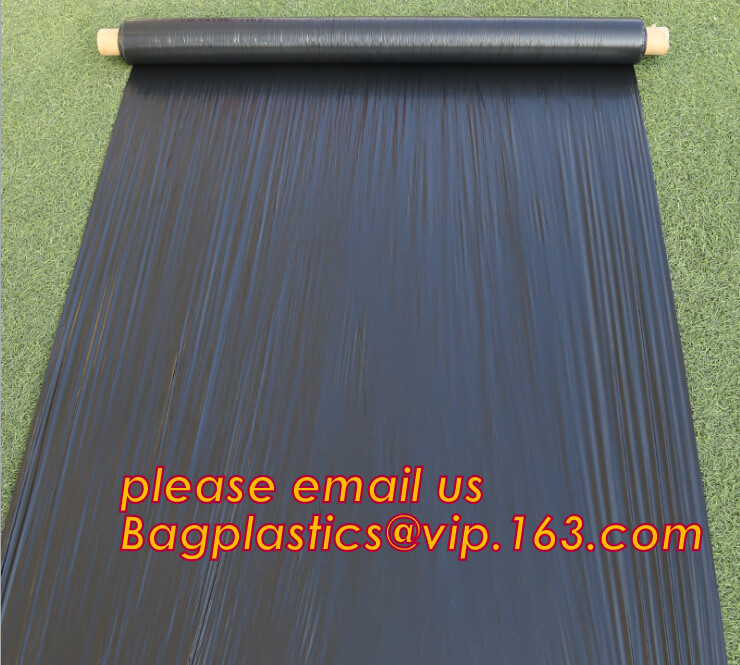HOTICULTURAL MULCH FILM,AGRICULTURAL PE FILM,MARKET GARDENERS CLOCHE FILM,PE FILM FOR CORN,PLASTIC FILM COVER,TOMATO COV