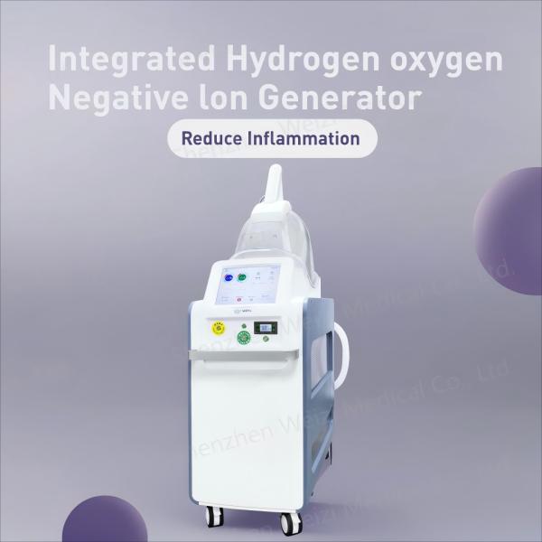 Quality 220Volt Negative Ion Hydrogen Oxygen Inhaler Enhanced Sleep Fatigue Relief for sale