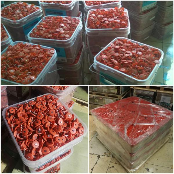 12 Gauge Oem Plastic Cap Nails Round For Roofing