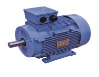 Quality Iec 60034 31 Iec 60252 1 Single Phase Asynchronous Motor Aluminum for sale
