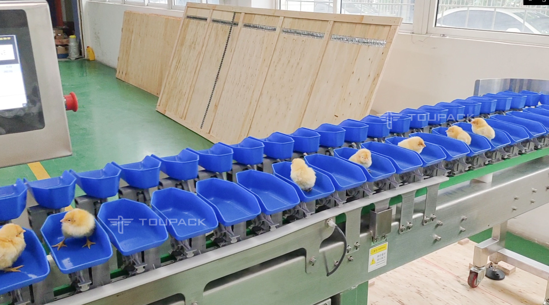 Fish Shrimp Trepang Weight Sorting Machine Automatic Conveyor Belt Grader Sorter Machine