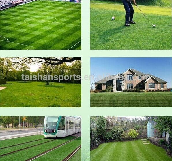 30mm Playground Artificial Grass For Sports And Leisure Infill Needed Multi Purpose Artificial Grass For Playground