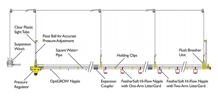 Automatic feeding pan for Animal & Poultry Husbandry Equipment 5