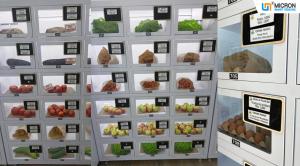 Refrigerated Locker Vending Machine With Cash Payment And Room-Temperature Option