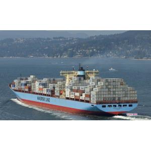 China Speedy Ocean Freight Shipping From China To USA wholesale