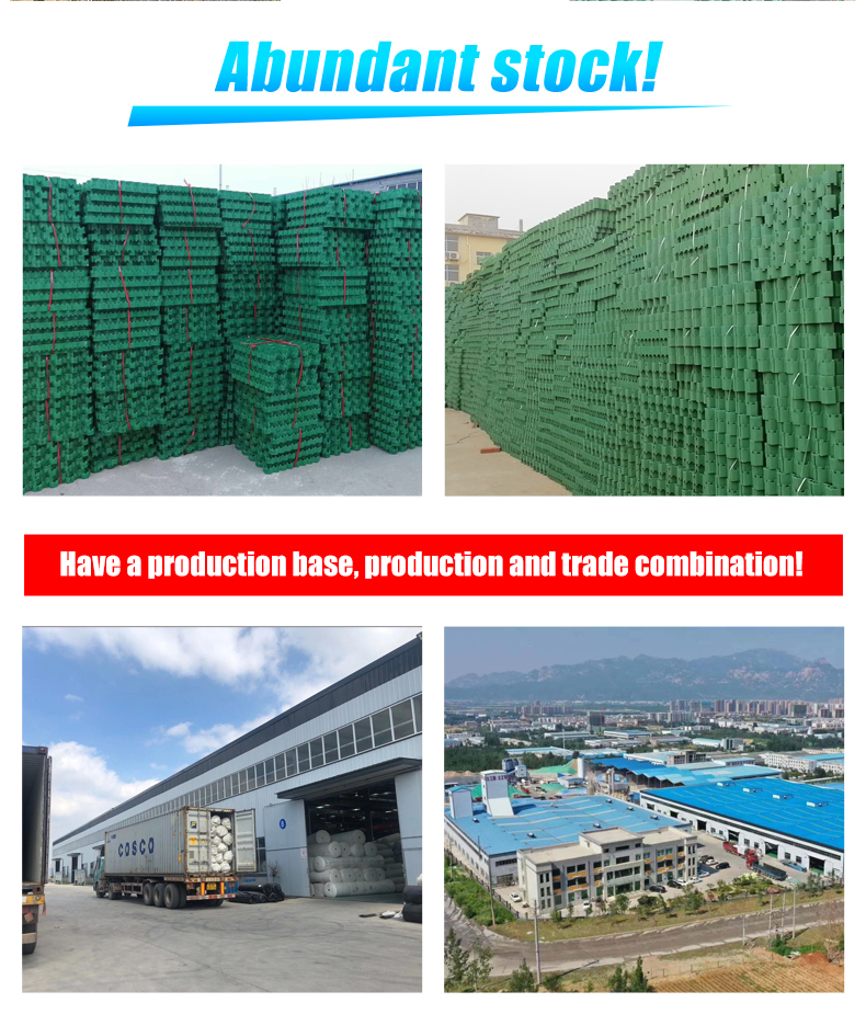 HDPE Plastic Planting Grass Paver Grid for Parking Lot and Driveway at 500mm Length