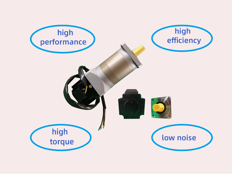 Bldc Brushless DC Motor Gear For Pontoon Boat Motor Gate Opener Sliding Door Motor