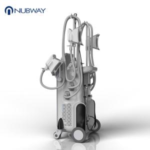 2019 latest CE FDA Approved Cryolipolysi Cool Shape Fat Freezing Machine Fat Loss Cryolipolysis Machine