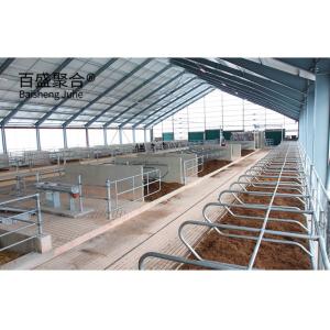 China Aluminum Alloy Window and Q345 Prefab Steel Cow Farm Building for Dairy Cow House wholesale
