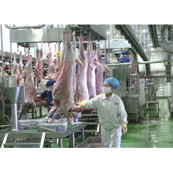 Lamb Split Meat Production Line , Industrial Production Line Further Processing