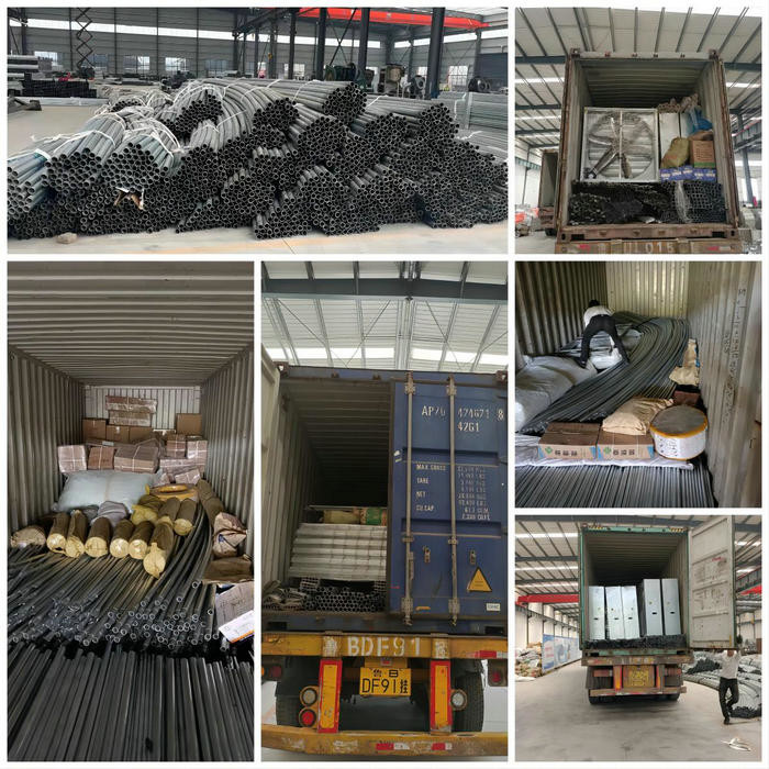 10000 Sqm Easy Connected Tunnel Cgreenhoue Plastic Poly Film Growing Strawberry Bluberry Berry Fruits