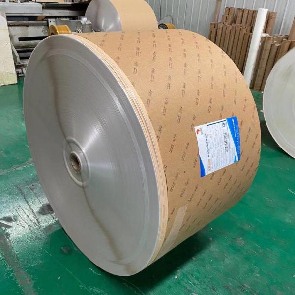 Quality 18G Double PE Coated Paper Roll Good Stiffness Food grade for sale
