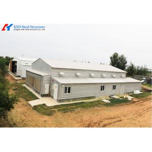 China Galvanized Steel Poultry Shed for Large-Scale Chicken Farming wholesale