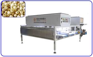 China 8 Channel Lotus Seed Sorting Machine 50Hz Artificial Intelligence Equipment wholesale