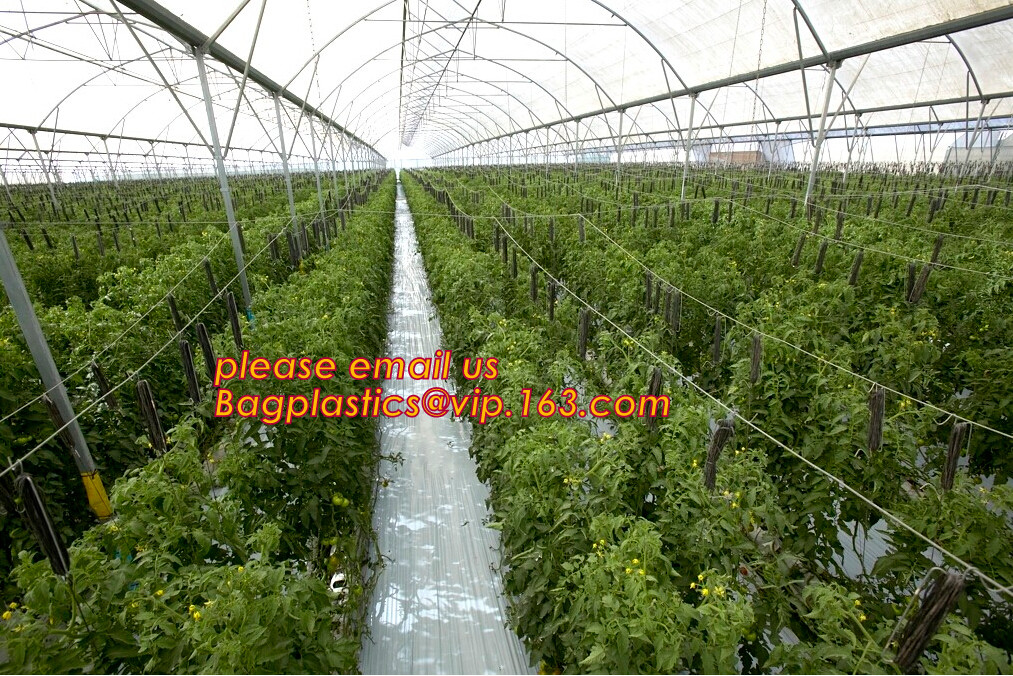 100% new HDPE insect mesh / anti bird net for apple trees,greenhouse anti insect net for plant, agriculture net Anti-ins