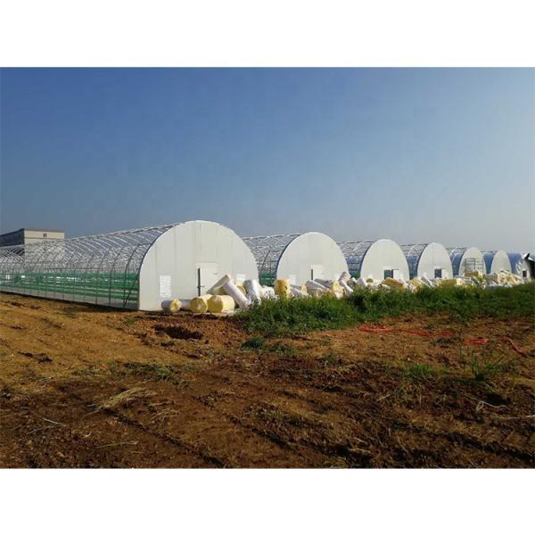 Customized Agricultural Equipment Plastic Film Cover Mushroom Green House