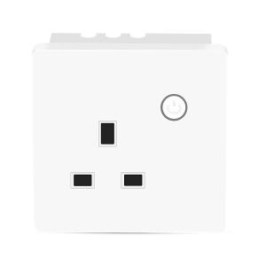 China IFTTT Alexa Smart 13 Amp Socket Timing Setting IEEE 802.11 B/G/N wholesale
