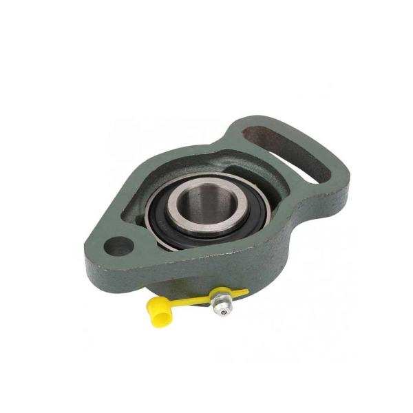 Quality Brass Cage Pillow Block Bearing UCFA 201 Pillow Block Ball Bearing for sale