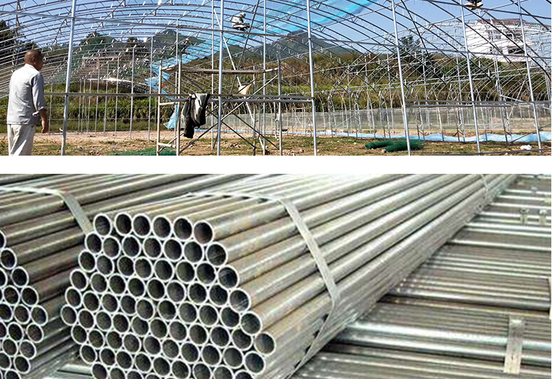PO Single Layer Greenhouse for Agriculture Boost Agricultural Production