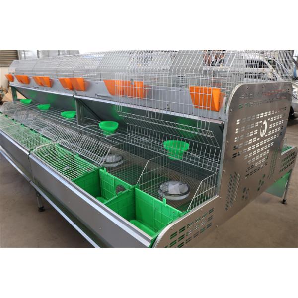 50~80 Babies Farm Rabbit Cage Commercial Rabbit Breeding Cages