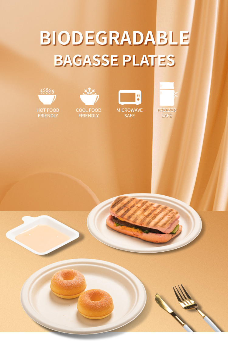 Round 6 Inch Sugarcane Pulp Plates Sugarcane Compostable Plates Sustainable