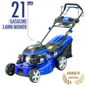 China 3600W Lawn Mower Wholesale 530mm Cutting Width Hand Push Lawn Mower With 60L Collection Bag on sale