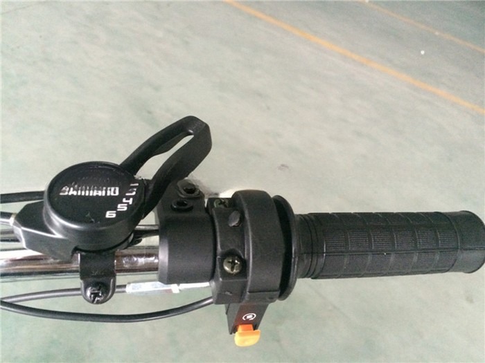 4 Stroke Motor Engine Cruiser Bicycle Gas Bike with Alloy Seatpost Max. Speed 40km/h
