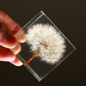 Custom cheap paper weight resin paperweight block Resin cubic paper weight with Dandelion artificial flower inside paperweight