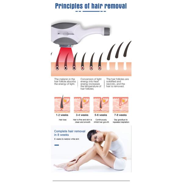 OPT SHR Hair Removal Skin Rejuvenation Beauty Machine Permanent Painless