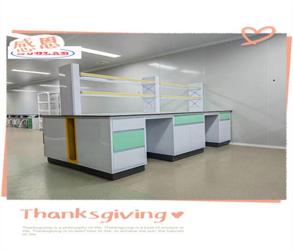 Quality Customizable Easy Installation Lab Furnitures For Educational Labs for sale