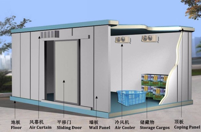 China Manufacturer Cold Storage Chiller/Cooler/Freezer Room with Condensing Unit Compressor