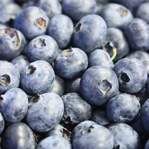 Electric Drive Blueberry Sorting Grading Machine  380V 6 Channels