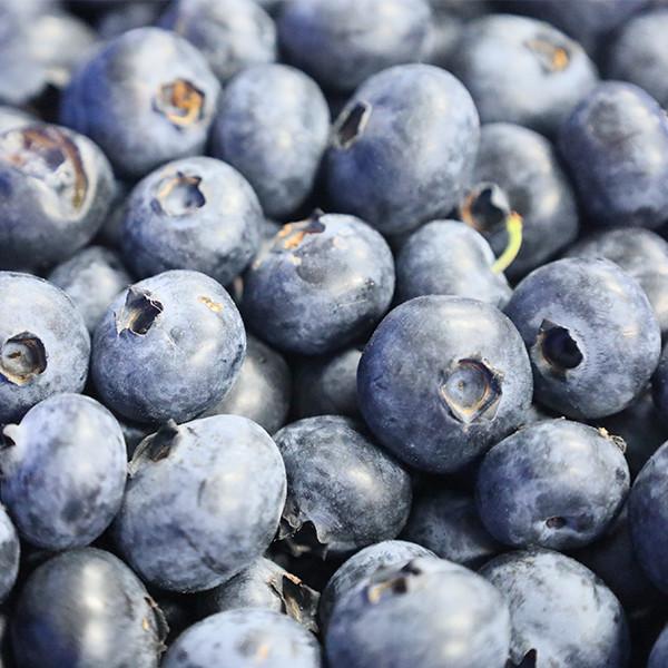 Quality Electric Drive Blueberry Sorting Grading Machine  380V 6 Channels for sale