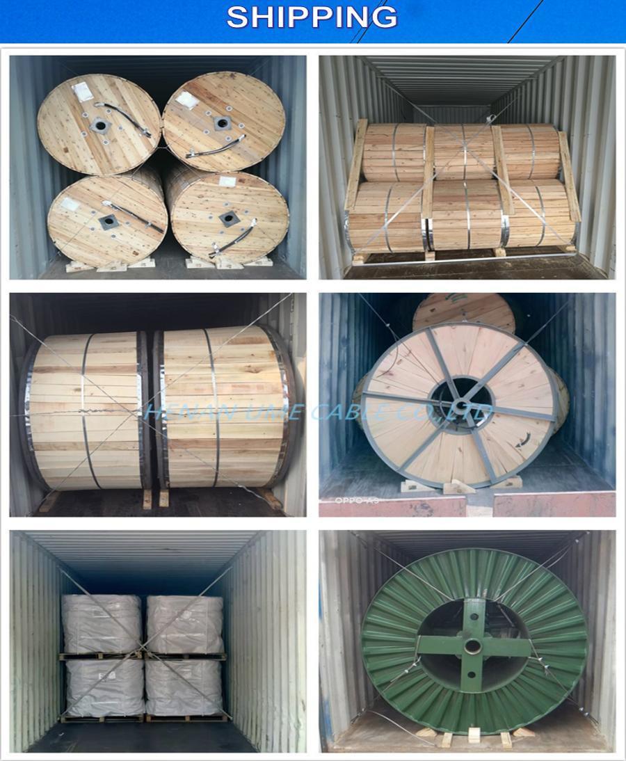 Electrical Power Transmission Lines AAC AAAC ACSR Acar ACSR Acasr Aluminum Conductor Power Cable
