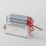 DIY Portable Ozone Generator 15G AC220V