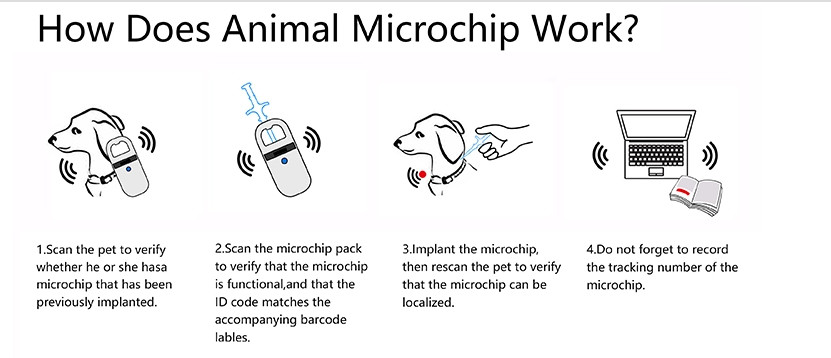 Global Unique Number Pets Microchip Syringe ISO ICAR Certificate