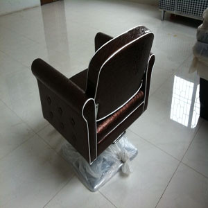 hair salon chair ,hair salon furniture , hydraulic chair ,styling chair