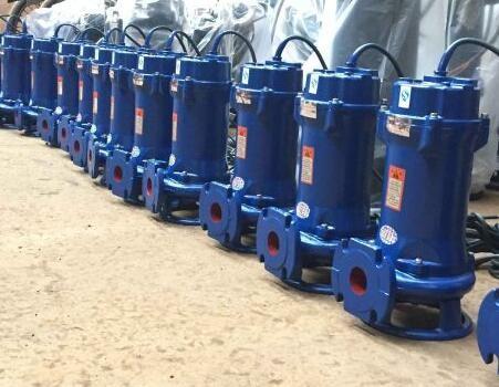 Quality Hydromatic Submersible Sewage Pump Motor 2600m3 H 80QW20-10-1.5 for sale