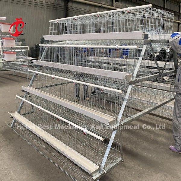 Quality A And H Chicken Cage Equipment For Raising Chickens Farm Doris for sale