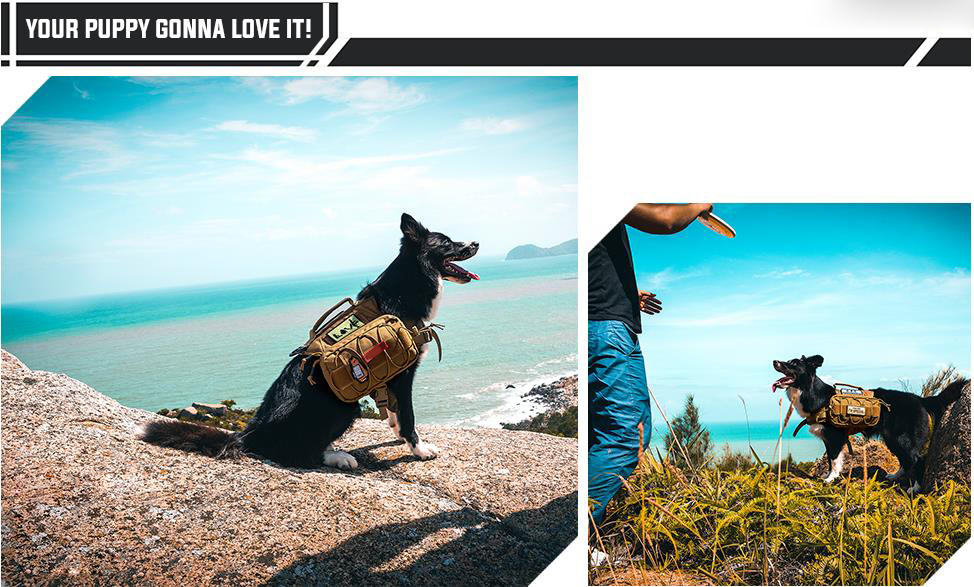 Well-Made Air-Mesh Padded Best Dog Carrier Backpack with Hook-and-Loop Closured Pockets