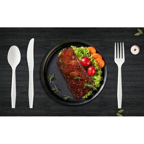 biocean cutlery plastic forks plastic spoons Plastic knives