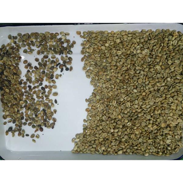 4 Chutes High Capacity Automatic Yellow Bean Green Bean Color Sorter Popular in the USA