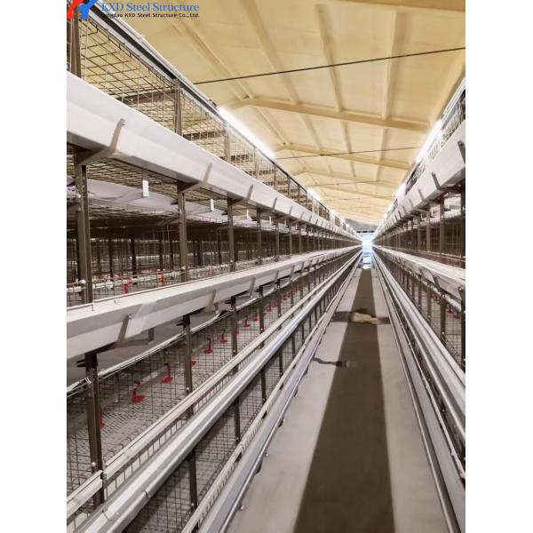 KXD Poultry House Equipment Automatic Broiler Feeding System For Broilers / Layers