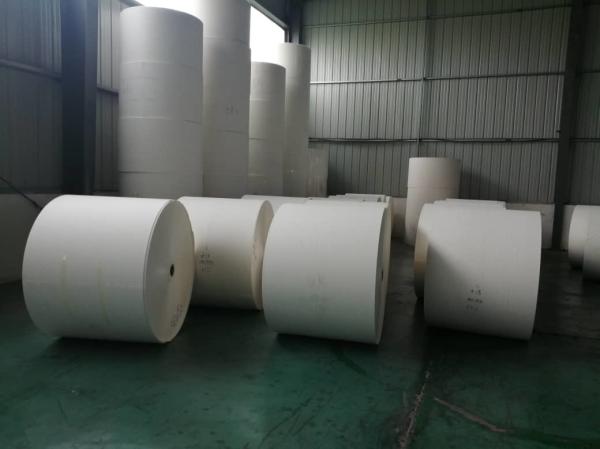 Quality 150GSM-350GSM Die Cut PLA Coated Paper Roll Water Resistant for sale