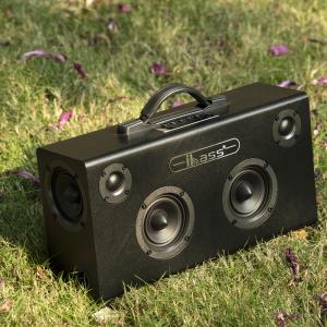 China Stereo Portable Speaker With Microphone For Professional Presentations wholesale