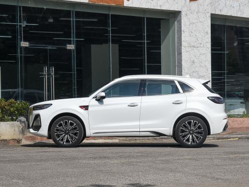 Left Drive 2023 Hongqi Ehs9 H5 7 Seat Electric Car SUV with Ternary Lithium Ion Battery