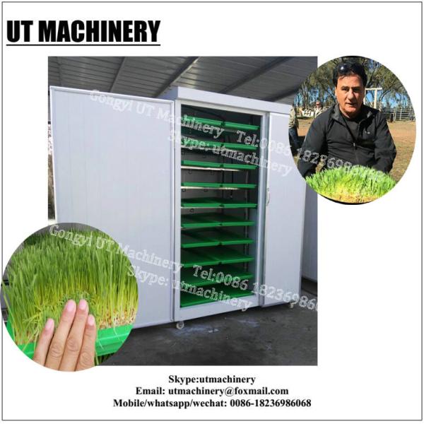 1500KG Per Day Automatic Animal Fodder Sprout Container Hydroponic Barley Growing System
